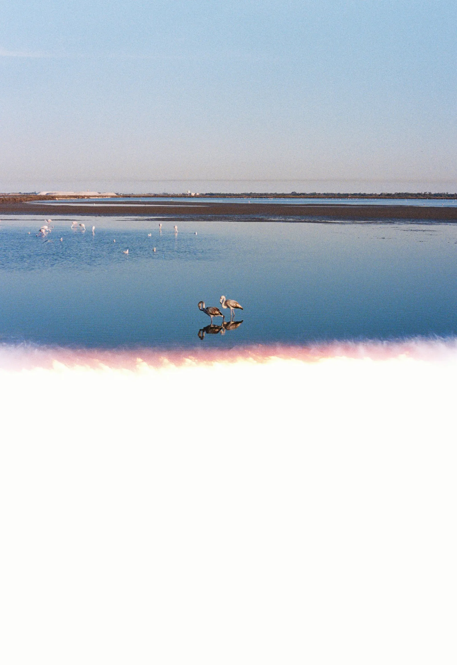 photographs